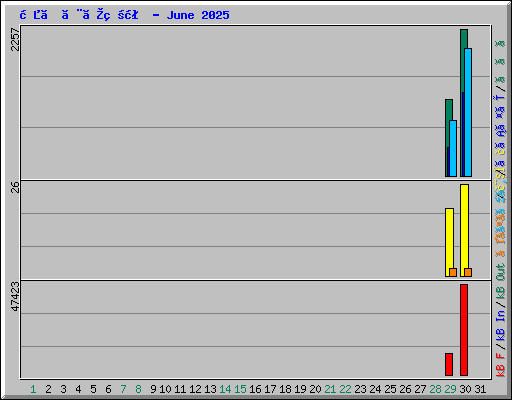 日ごとの状況 - June 2025